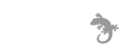 Gecko IT Group
